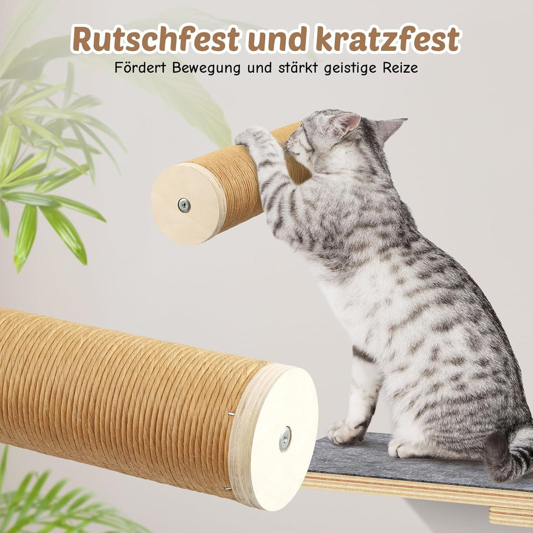Modulares Katzen Kletterwand Set - aus Birkenholz | 5-in-1 Katzen Wandelemente mit Katzenbett & Lauf