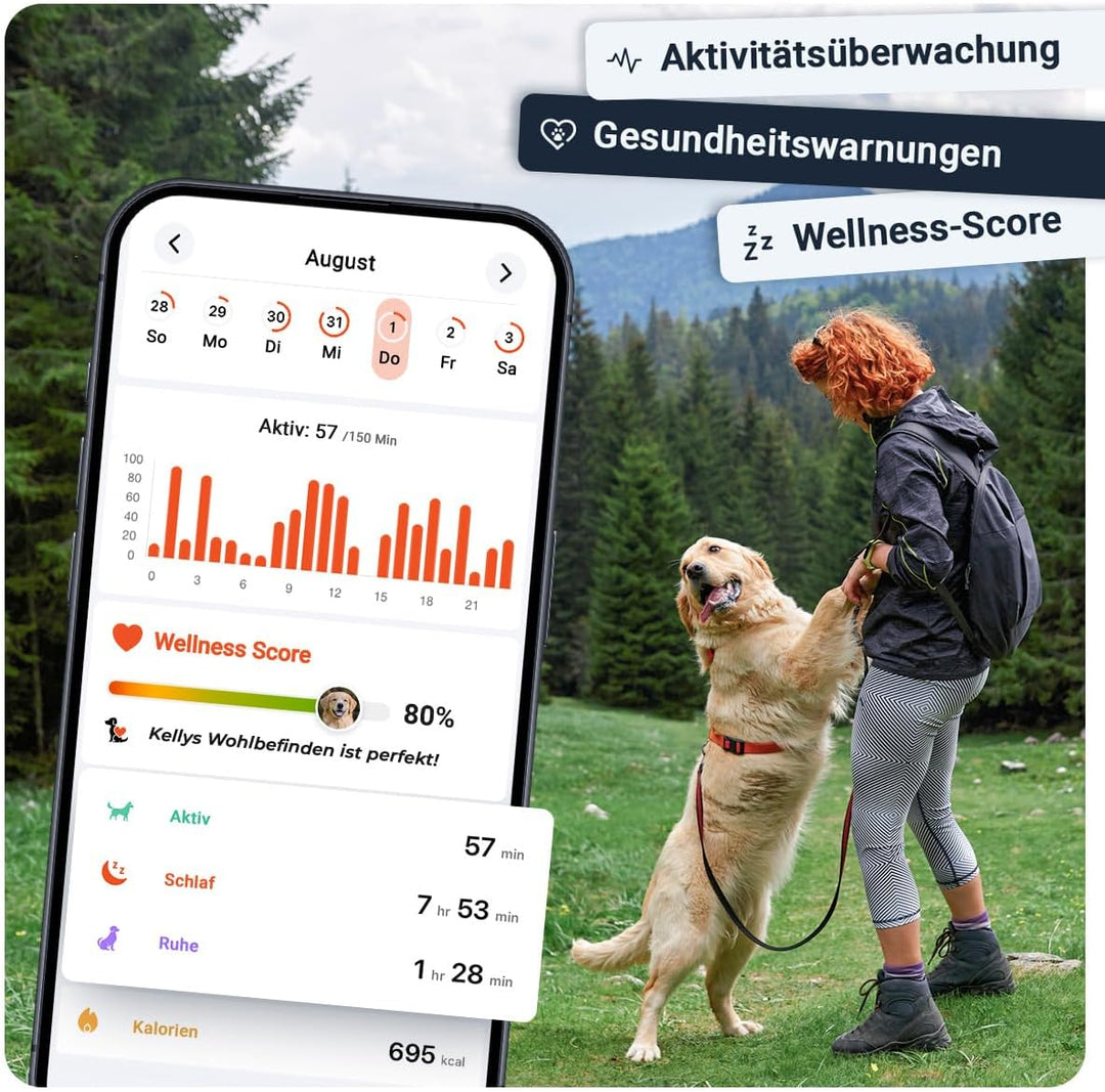 PAJ GPS Tracker 4G Mini für Hunde - inkl. 3 Monate Premium Zugang + MINI LED-Licht, Weglaufalarm+Hun