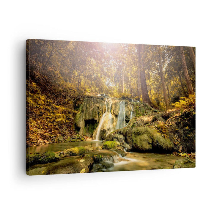 Bilder auf Leinwand Wald Wasserfall Natur Umwelt Leinwandbild 70x50cm Wandbilder Dekoration Wohnzimm