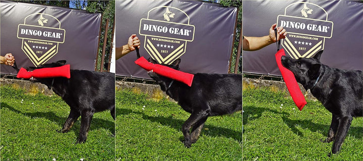 Dingo Gear Baumwolle-Nylon Beisswurst für Hundetraining K9 IGP IPO Obiedence Schutzhund Hundesport 4