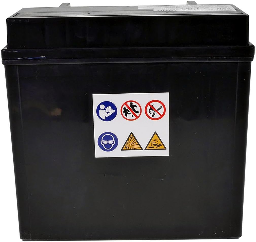 JMT Batterie 12 V 14 Ah (YTX14-BS) [wartungsfrei & versiegelt] kompatibel für Piaggio/Vespa MP3 400