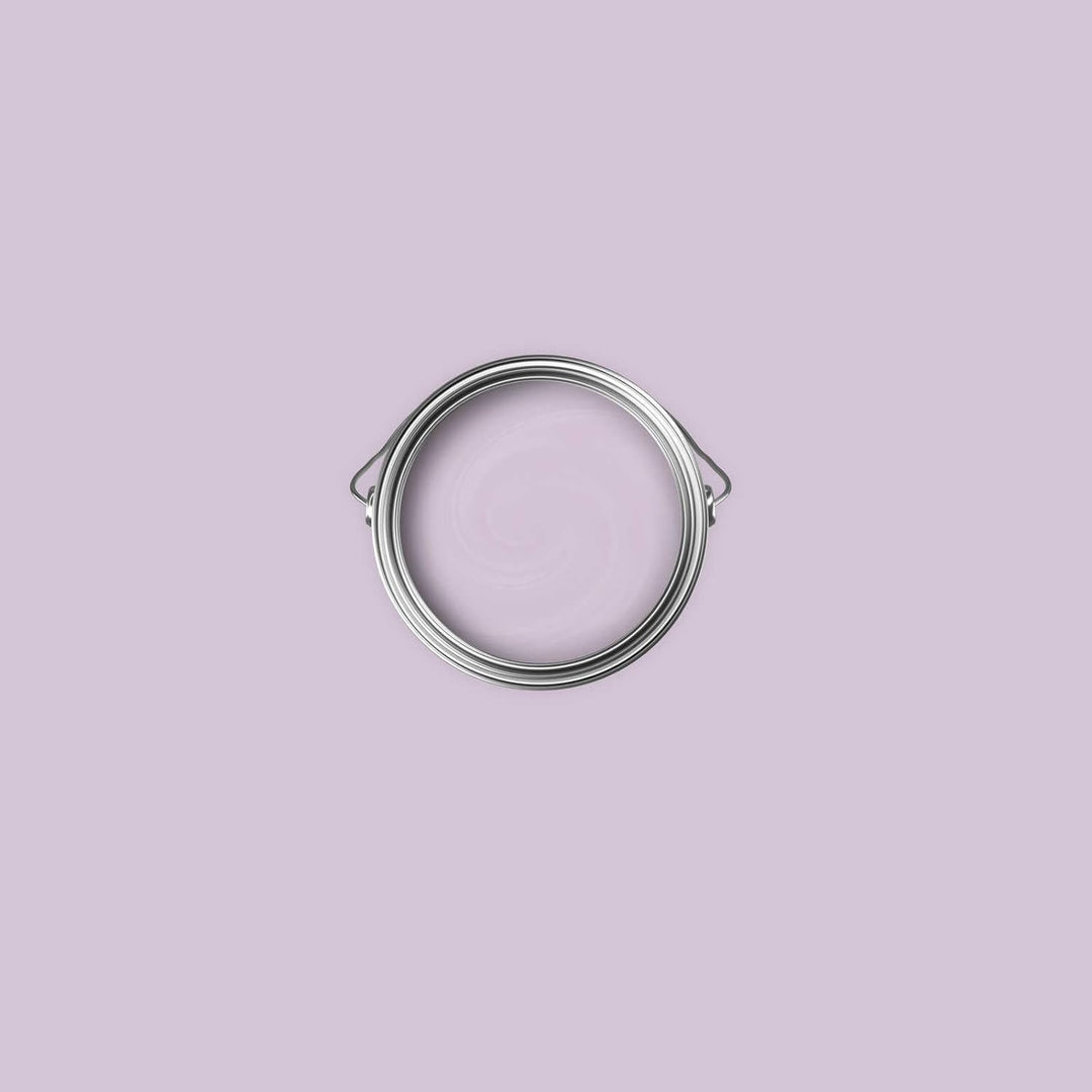 New Walls Premium Wandfarbe Violett, Flieder Liquid Luxury Dispersionsfarbe für Innenräume – 1 L 100