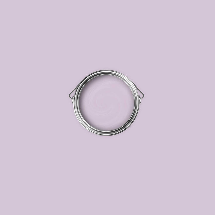 New Walls Premium Wandfarbe Violett, Flieder Liquid Luxury Dispersionsfarbe für Innenräume – 1 L 100
