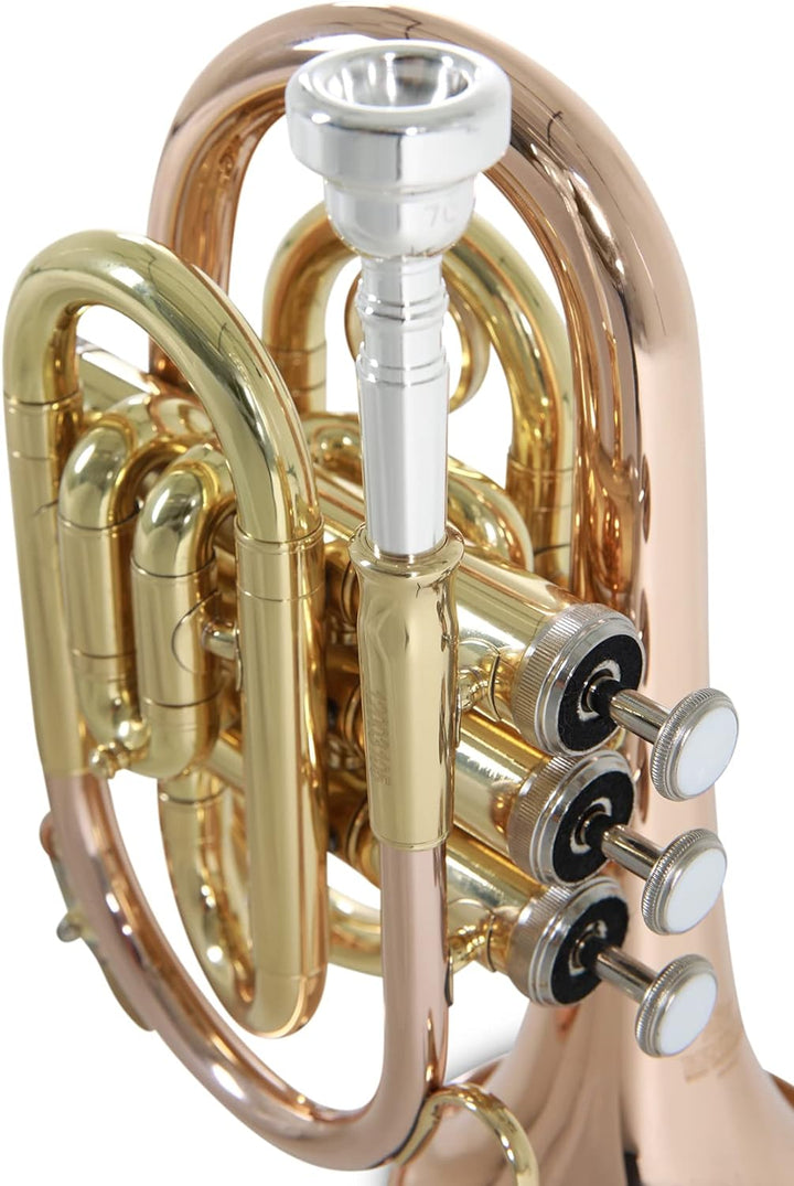 Roy Benson Bb Taschen-Trompete MOD.PT-101G lack. Goldmessing, inkl. Etui, PT-101G