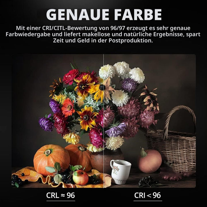 Godox SL150III SL150WIII LED Videoleuchte 160W Tageslicht Ausgewogen 5600K 2.4G Wireless X System CR