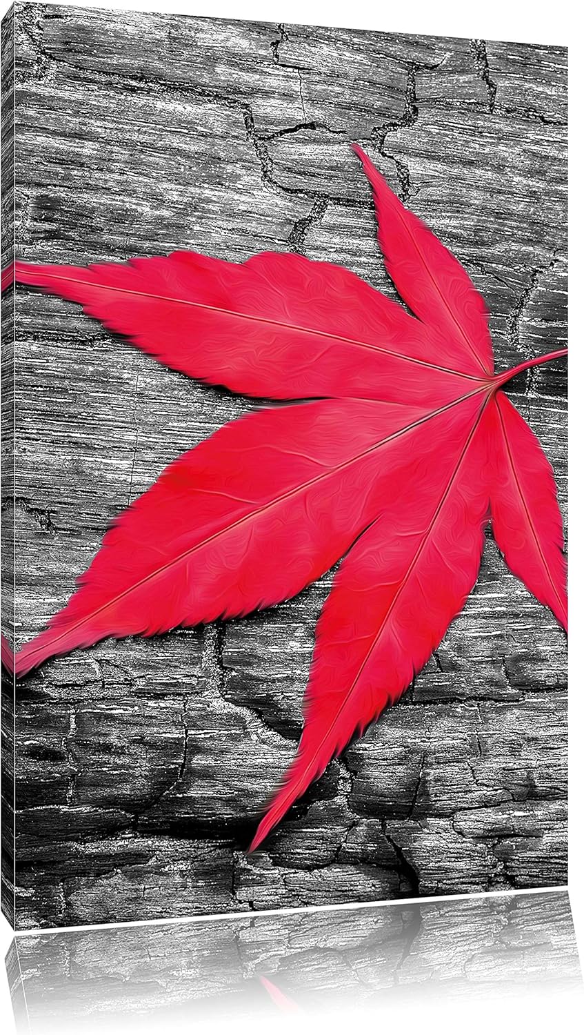 Pixxprint Rotes Ahornblatt im Herbst / 100x70cm Leinwandbild bespannt auf Holzrahmen/Wandbild Kunstd