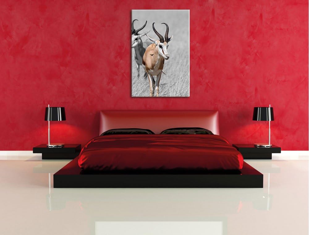 Pixxprint Tiere in Savanne, Rehe, Afrika als Leinwandbild/Grösse: 120x80 / Wandbild/Kunstdruck/ferti