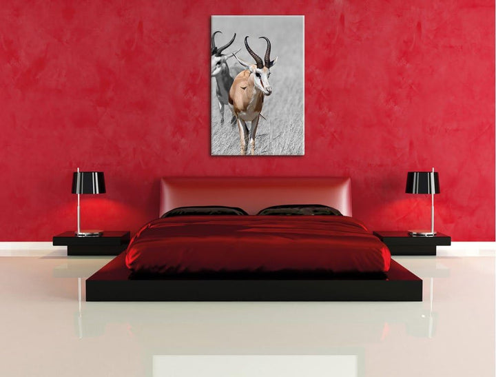 Pixxprint Tiere in Savanne, Rehe, Afrika als Leinwandbild/Grösse: 120x80 / Wandbild/Kunstdruck/ferti