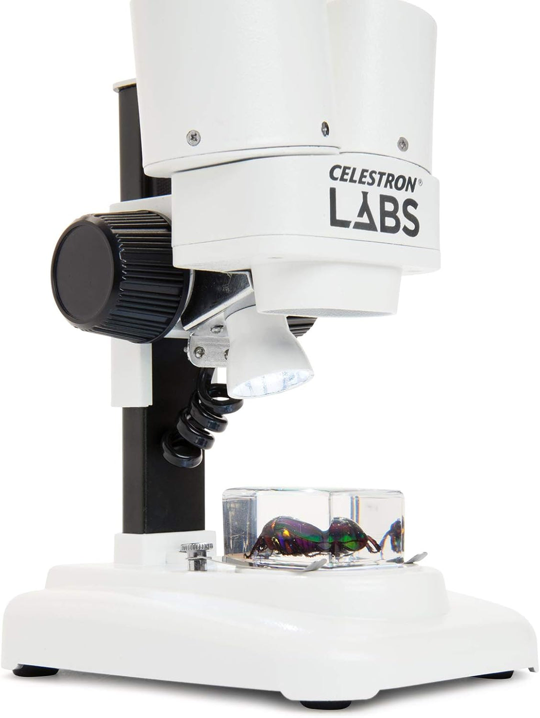Celestron 44207 CL-S20 Stereo Microscope, 20x Magnification, White Labs CL-S20 Stereo, Labs CL-S20 S
