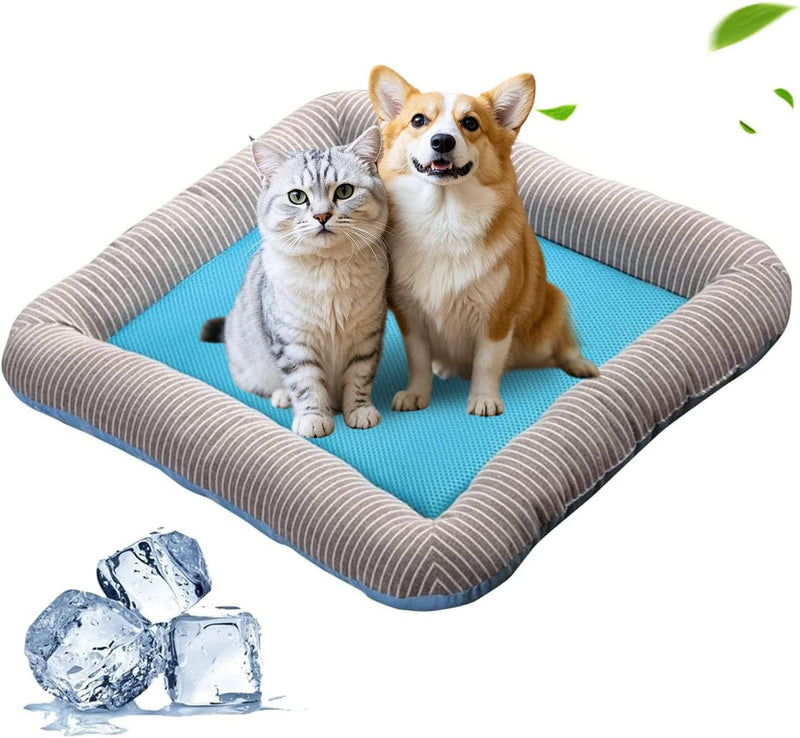 PETCUTE Hundebett Katzenbett Katzen Tiere Hundedecke Hundekorb,Hundebett Grosse Mittlere Kleine Hund