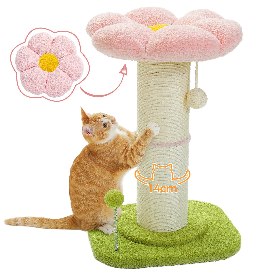 PAWZ Road Flower Katzenkratzbaum - Kleiner Katzenbaum für Indoor-Katzen Mit Super Dickem Kratzbaum [