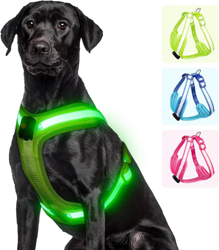 PZRLit Hundegeschirr Leuchtend, Leuchtgeschirr für Hunde Aufladbar, Leuchtendes Hundegeschirr LED, L