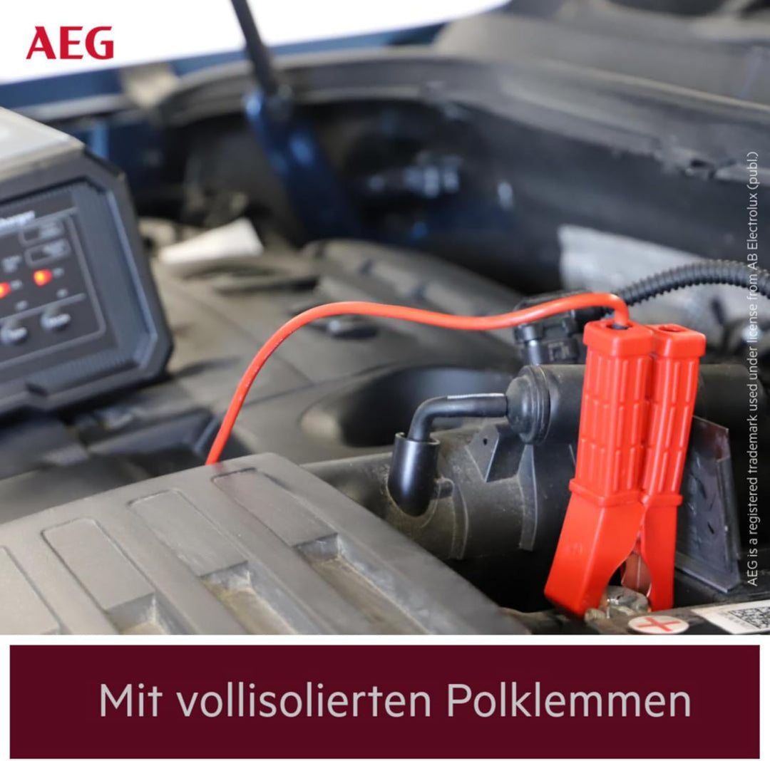 AEG Batterieladegerät CW10 lädt alle 6 V und 12 V Batterien, umfangreicher Sicherungsschutz, mit Lad