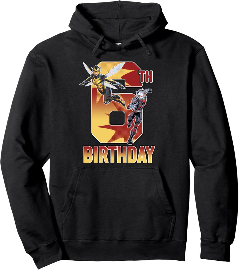 Marvel Ant-Man & Wasp 6th Birthday Pullover Hoodie