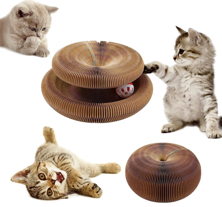 Kratzbrett Katze,Magic Organ Cat Scratching Board,Katzenspielzeug 2-in-1 Cat Kratzbrett mit Glöckche