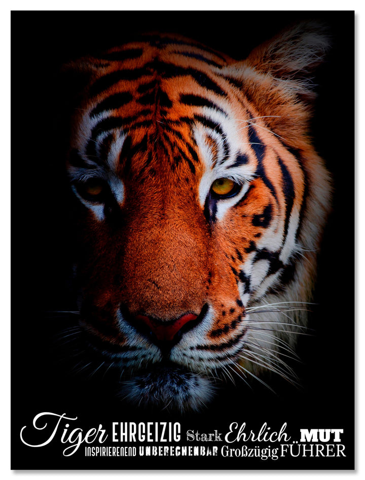 wandmotiv24 Leinwand-Bilder Tiere, Grösse 40x30cm, Hochformat, Tiger mit Charakter-Eigenschaften, Ra