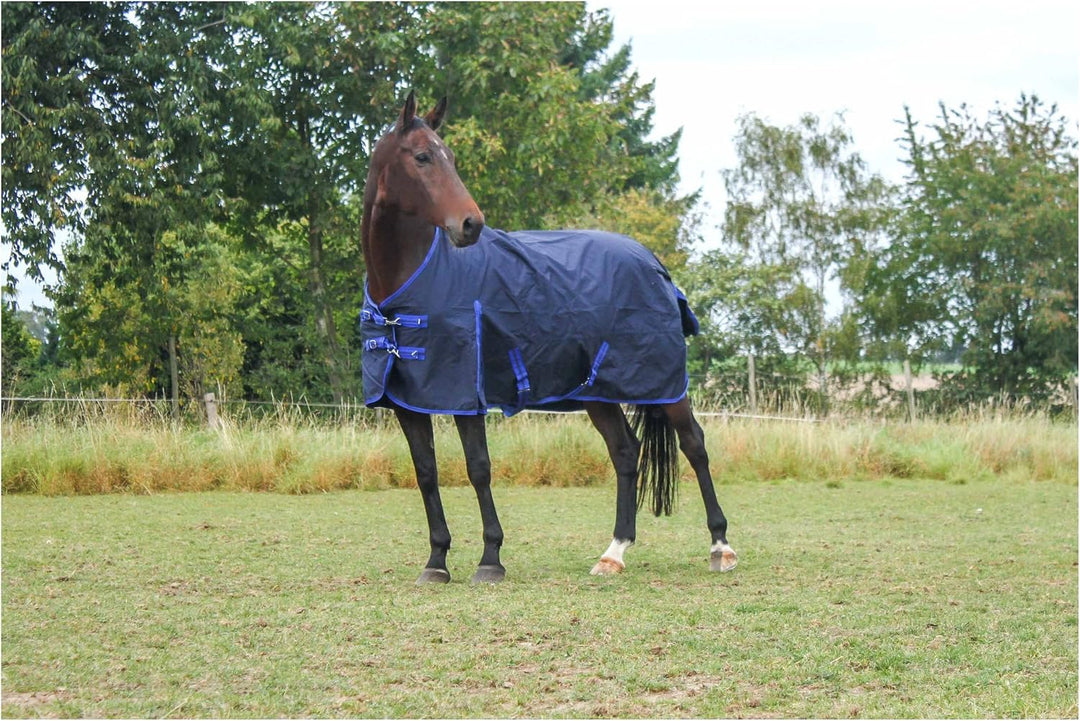 RL24 - Winterdecke 300g Füllung 600D BASICLINE dunkelblau 95cm Dunkelblau (Altes Modell) 95cm (300g/