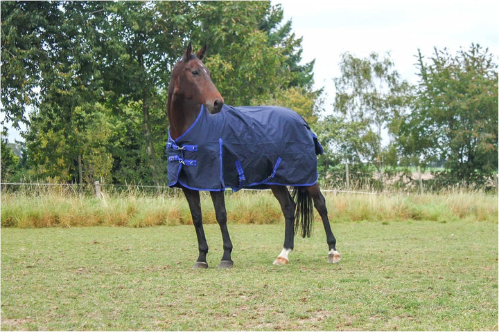 RL24 - Winterdecke 300g Füllung 600D BASICLINE dunkelblau 95cm Dunkelblau (Altes Modell) 95cm (300g/