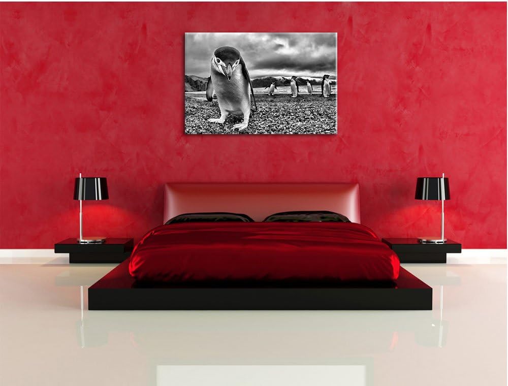 Lustige Pinguine als Leinwandbild/Grösse: 100x70 / Wandbild/Kunstdruck/fertig bespannt, 100x70