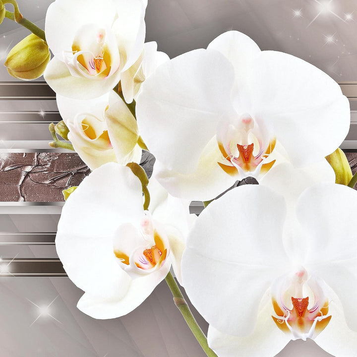 Runa Art Wandbilder Blumen Orchidee 5 Teilig Bild auf Vlies Leinwand Deko Wohnzimmer Figuren Braun 2