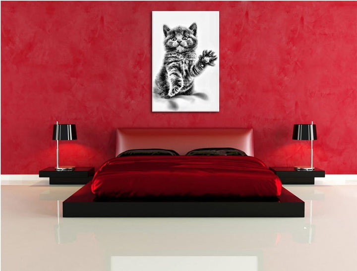 Pixxprint Babykatze die bettelt als Leinwandbild/Grösse: 100x70 / Wandbild/Kunstdruck/fertig bespann