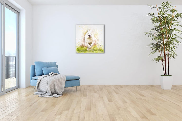 spielender Hund Format: 70x70 als Leinwandbild, Motiv fertig gerahmt auf Echtholzrahmen, Hochwertige