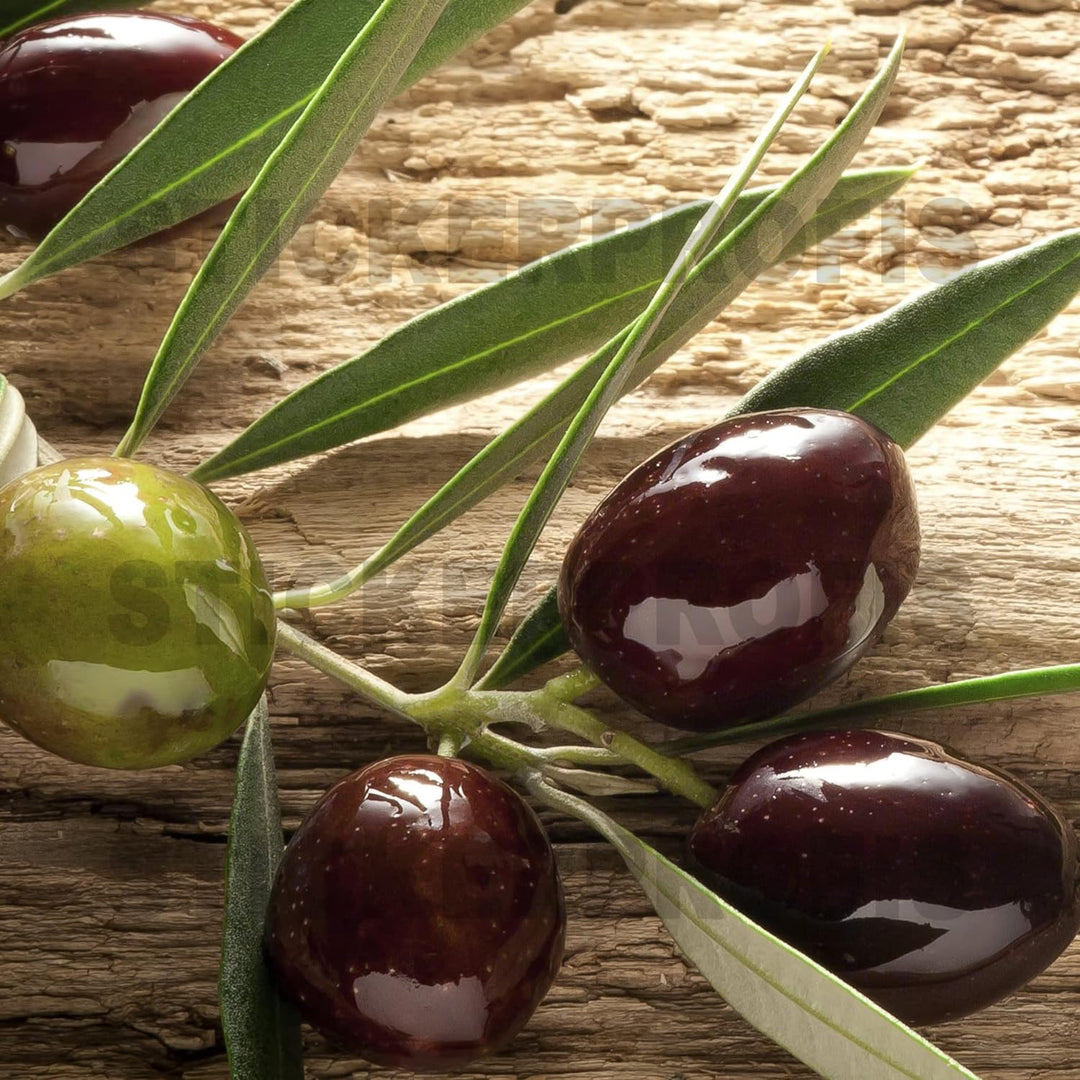 StickerProfis Küchenrückwand selbstklebend Glasoptik - OLIVEN - 1.8mm, Versteift, alle Untergründe,