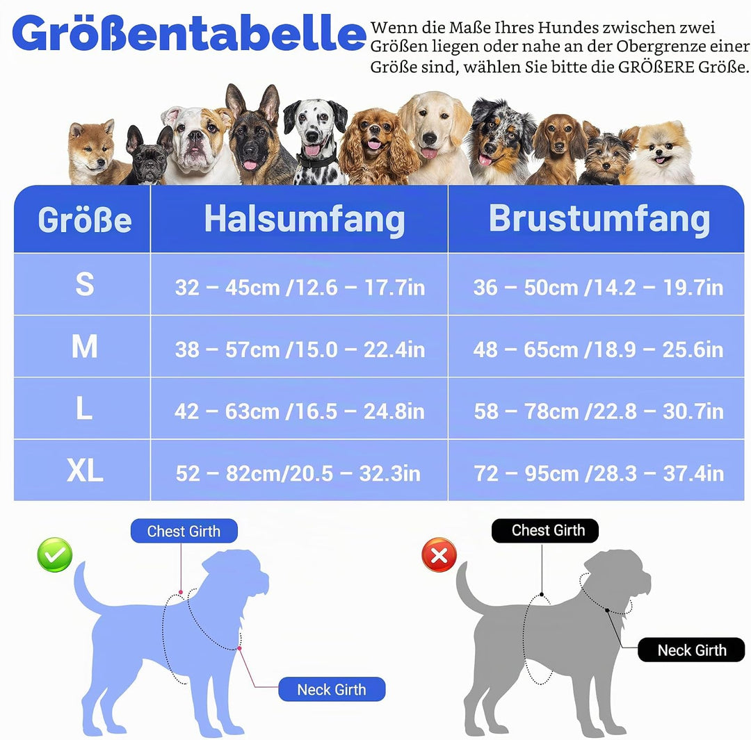 Funfox Hundegeschirr Kleine Hunde [S] - Anti Zug Welpengeschirr mit Griff &amp; Ringreflektoren, Atmungs
