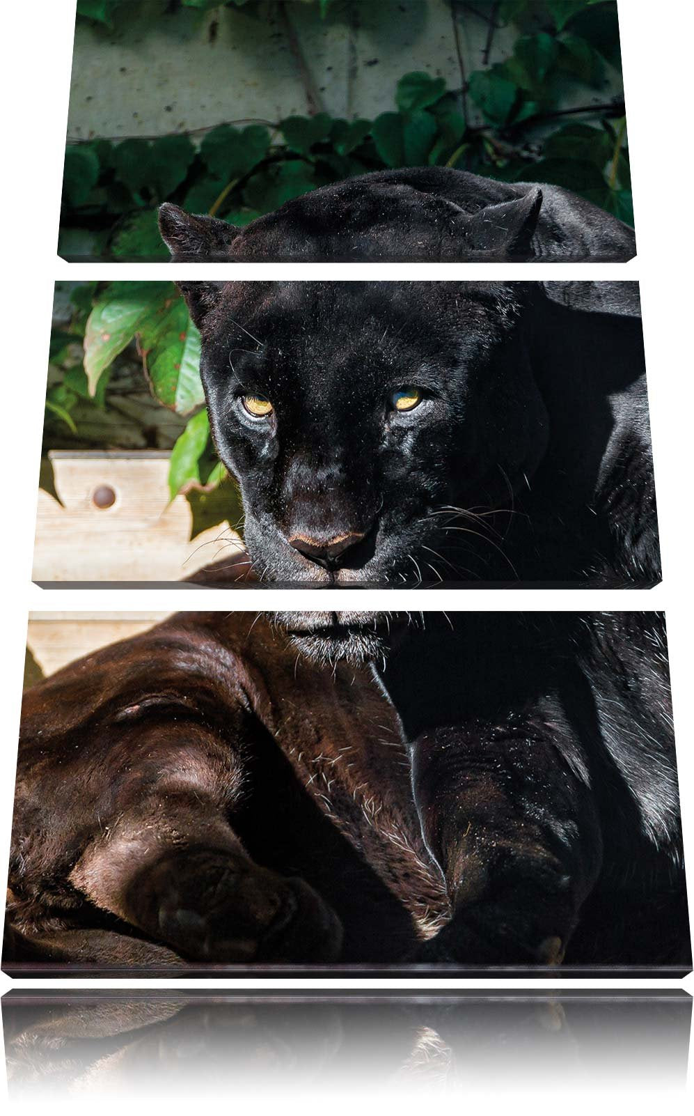 Pixxprint schwarzer Panther 3-Teiler Leinwandbild 120x80 Bild auf Leinwand
