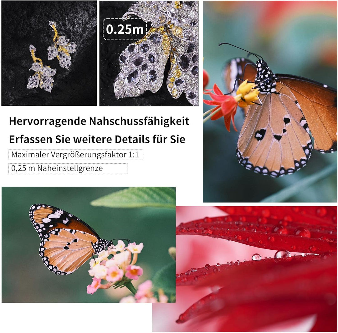 AstrHori 85 mm F2,8 Makro & Tilt & Mittleres Tele 3 in 1 Manuelles Vollformat Insekt Juwel Porträtob