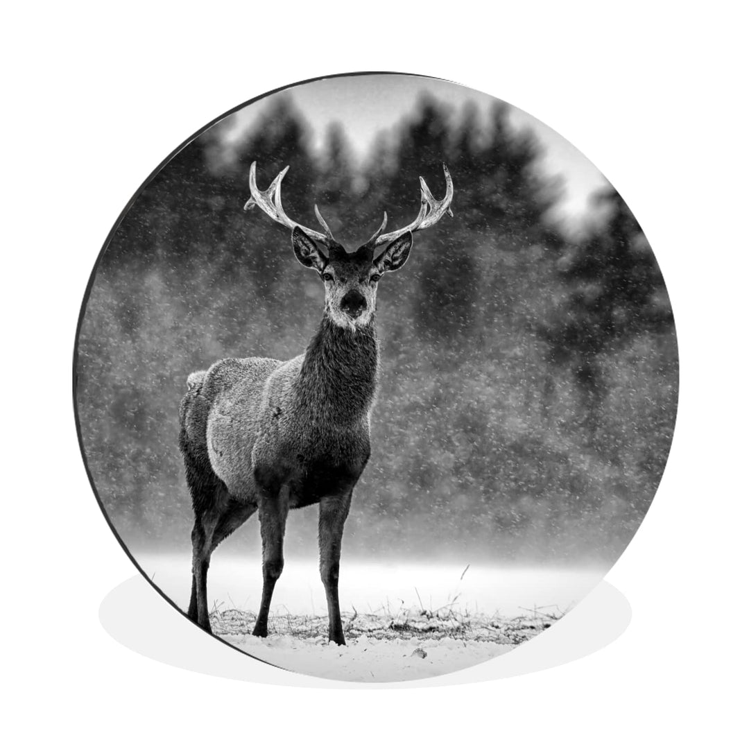 MuchoWow Wandbild Rund Wanddeko Deko Wohnzimmer Bilder 60x60 cm Tiere - Hirsche - Winter - Schwarz -