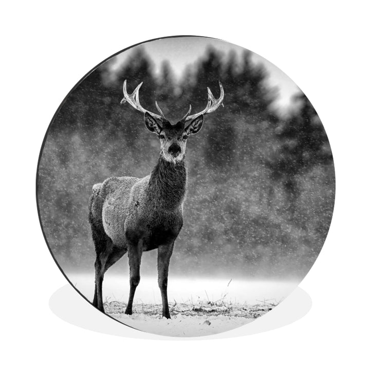 MuchoWow Wandbild Rund Wanddeko Deko Wohnzimmer Bilder 60x60 cm Tiere - Hirsche - Winter - Schwarz -