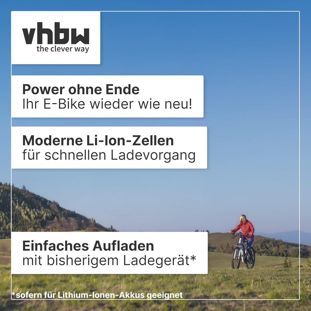 vhbw Akku kompatibel mit Panasonic Flyer S Eco 26", S Eco 28", R XT, R Street, R Tour, R Urban E-Bik