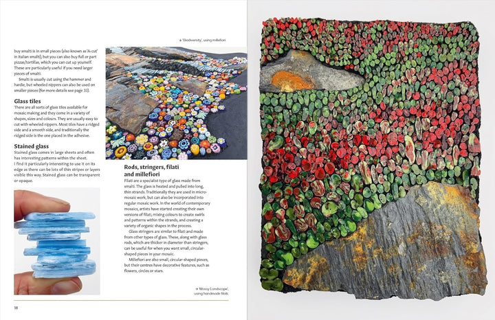 Mosaics Inspired by Nature: Creating Contemporary Art, Taschenbuch