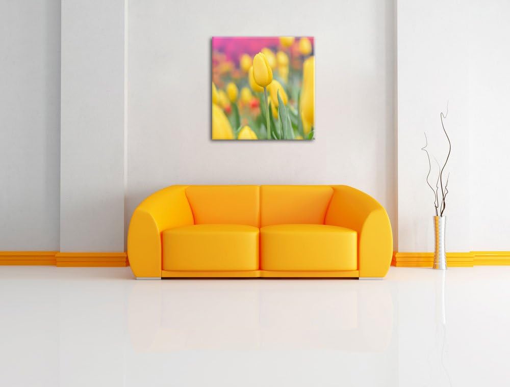 Gelbe Tulpen im Frühling, Format: 70x70 auf Leinwand, XXL riesige Bilder fertig gerahmt mit Keilrahm