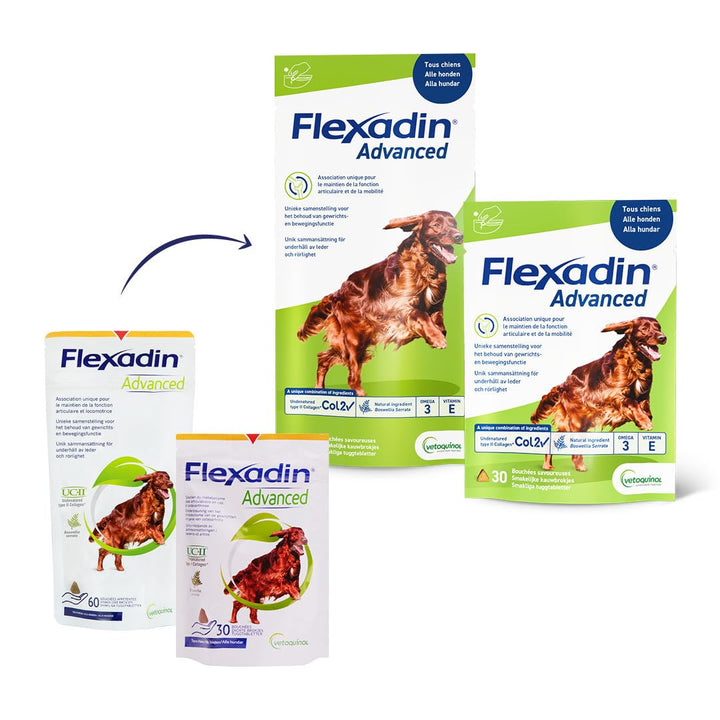 Flexadin Advanced Original - 60 Stück