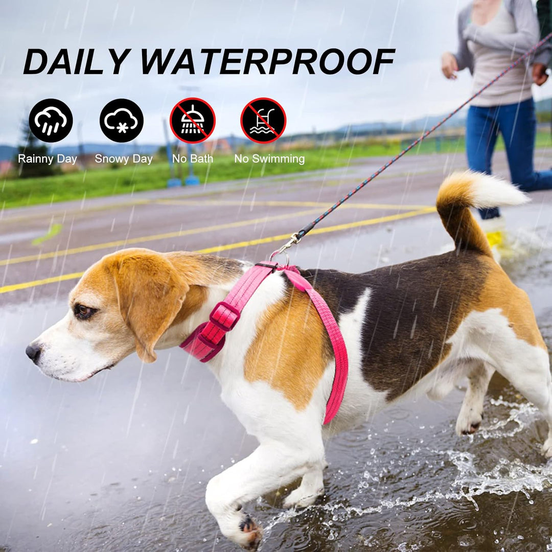 LED Hundegeschirr Leuchtend für Hunde, Leuchtgeschirr Hundeweste Wiederaufladbar Rosa Gross, Rosa Gr