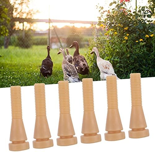 Zerodis 100 STÜCKE Hühnerpflücker für Geflügelpflücker, Gummihaarentfernung Fingerpflücker für Hühnc