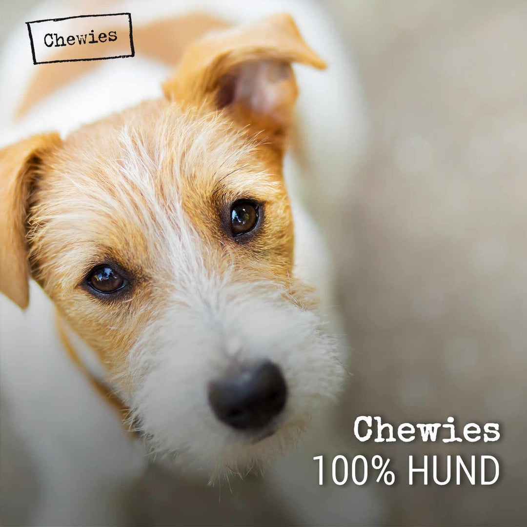 Chewies Hundeleckerli Mix-Paket, Training Mini Knöchelchen 18 x 125 g für Hunde - Rind, Pansen, Gefl