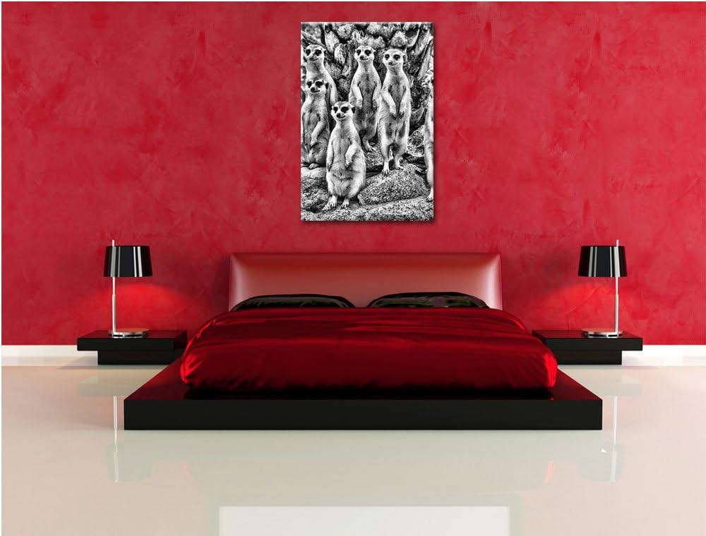Pixxprint Monocrome, Lustige Erdmännchen, Format: 100x70 auf Leinwand, riesige Bilder fertig gerahmt