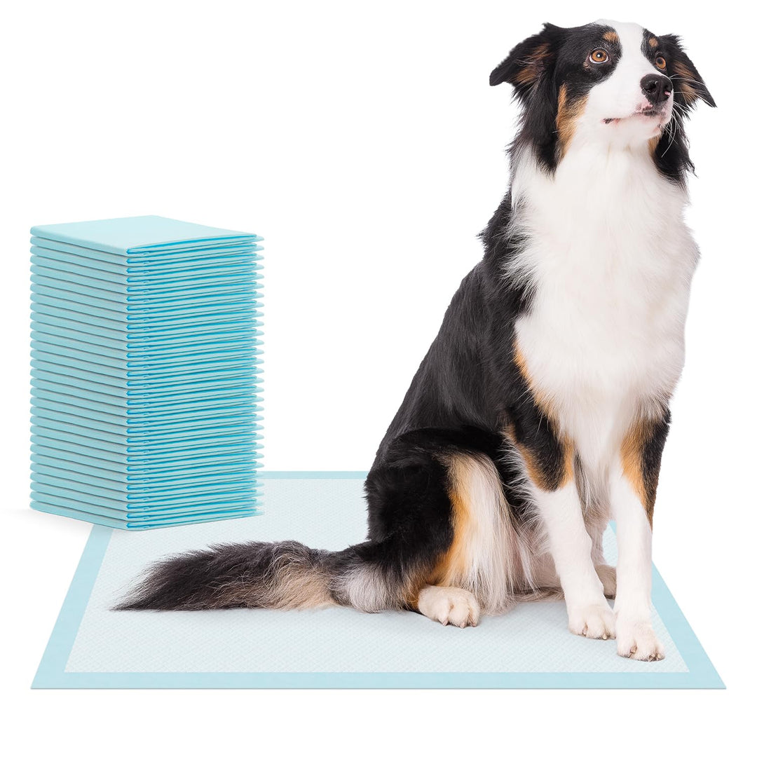 30x ARNOMED® Welpen Unterlagen 60x90cm, Saugfähige PIPI Matten für Hunde &amp; Welpen, Puppy &amp; Dog Pads,