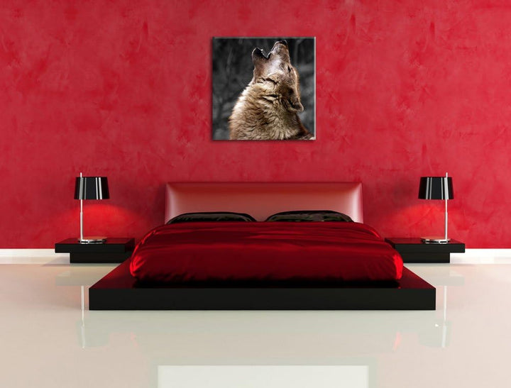 Pixxprint Anmutiger Heulender Wolf schwarz/weiss, Format: 70x70 auf Leinwand, 70x70