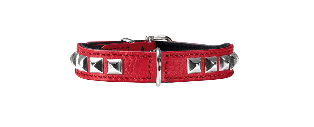 HUNTER ROCKY PETIT Hundehalsband für kleine Hunde, Leder, Nappaleder, weich, rockig, Nieten-Besatz,