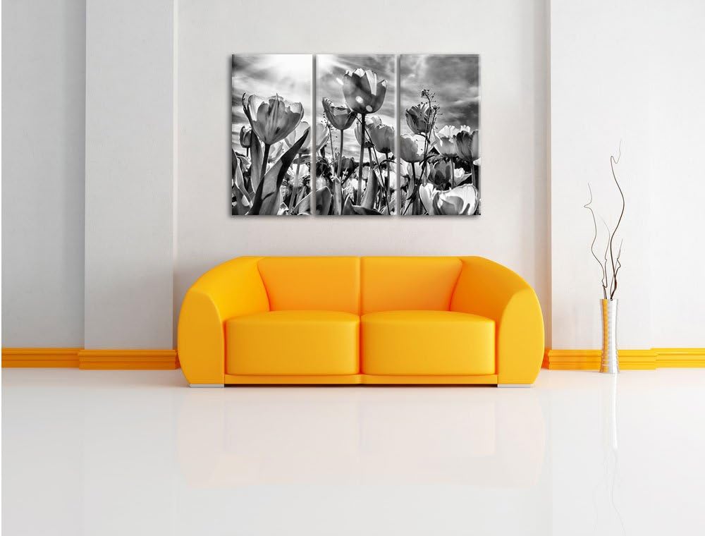 Pixxprint Blumenwiese als Leinwandbild/Grösse: 3 Teilig (120x80) / Wandbild/Kunstdruck/fertig bespan