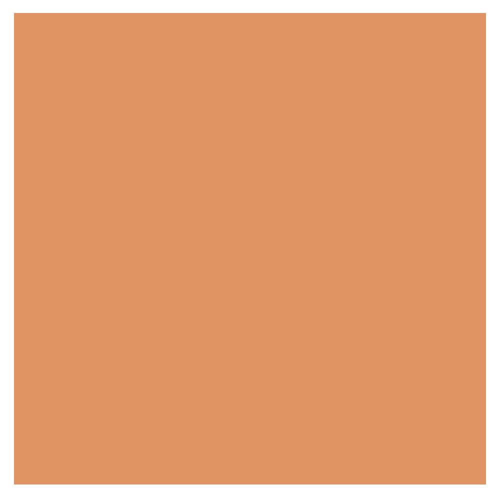 CLARINS EVERLASTING FOUNDATION 113C CHESTNUT 30 ML 113C CHESTNUT 1er Pack, 113C CHESTNUT 1er Pack
