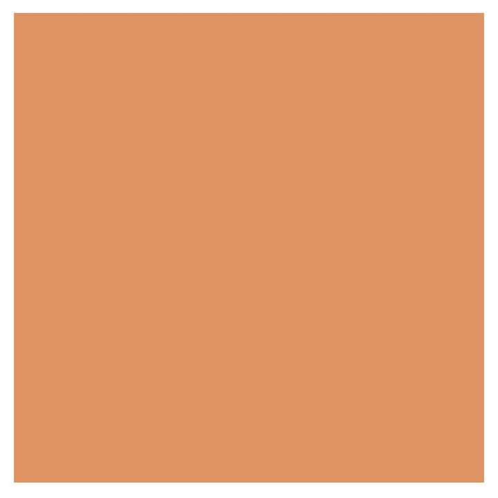 CLARINS EVERLASTING FOUNDATION 113C CHESTNUT 30 ML 113C CHESTNUT 1er Pack, 113C CHESTNUT 1er Pack
