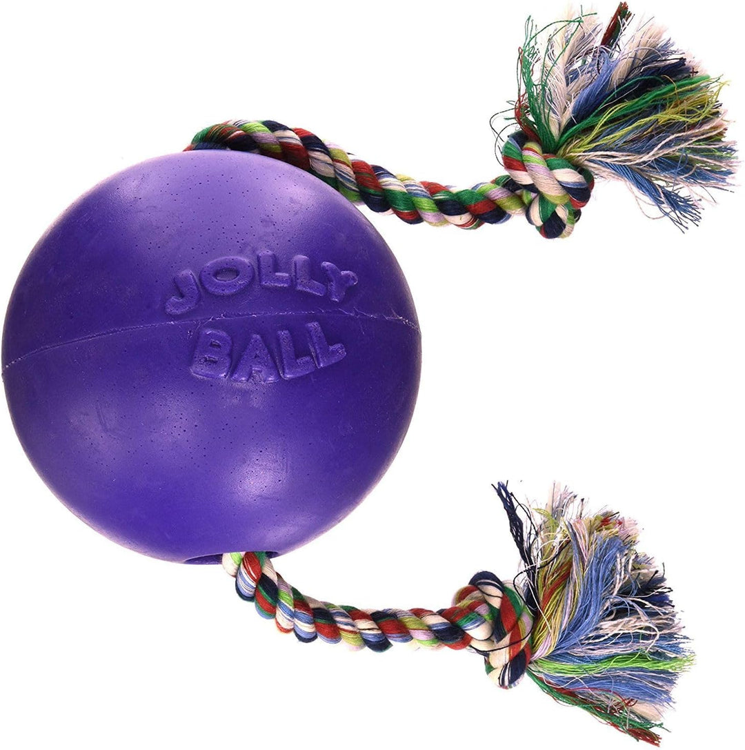 Jolly Pets (2 Pack) Romp-n-Roll 4.5 inch Purple | Rubber Ball with Rope for Dogs, One Size Purpur