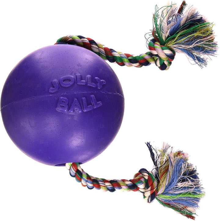 Jolly Pets (2 Pack) Romp-n-Roll 4.5 inch Purple | Rubber Ball with Rope for Dogs, One Size Purpur