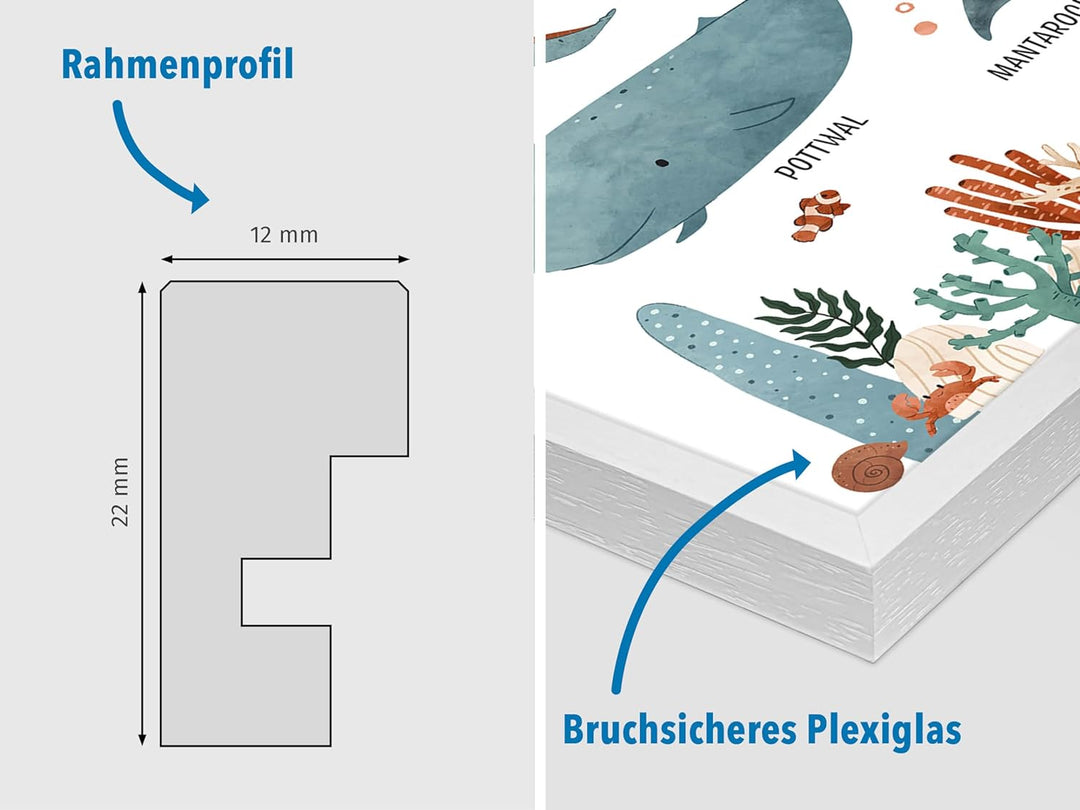 kizibi® Unterwasserwelt Lernposter für Kinderzimmer - Detailliertes DIN A2 Poster des Meeres & Ozean
