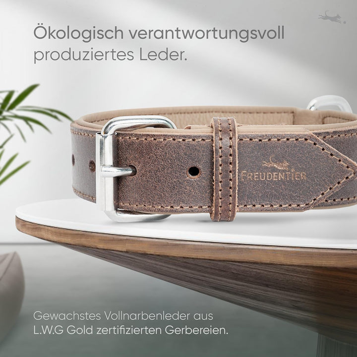 FREUDENTIER® Hundehalsband aus Leder, Made in Holland, gefüttert & super komfortabel, hochwertiges b